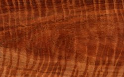 Exotic Hardwood Flooring tobacco road acacia exotic hardwood flooring Exotic Hardwoods Exotic Hardwood Flooring flooring Exotic Hardwoods