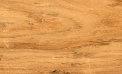 exotic hardwoods
