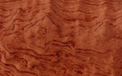 exotic hardwoods