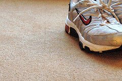 dense carpet pile