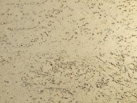 cork flooring