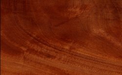 exotic hardwoods